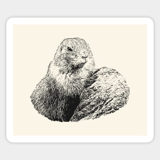 Prairie dog Sticker